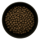  (Background Removed)