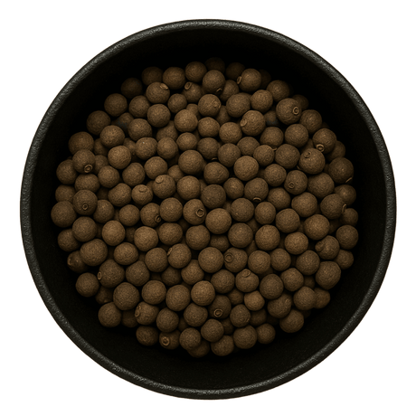  (Background Removed)