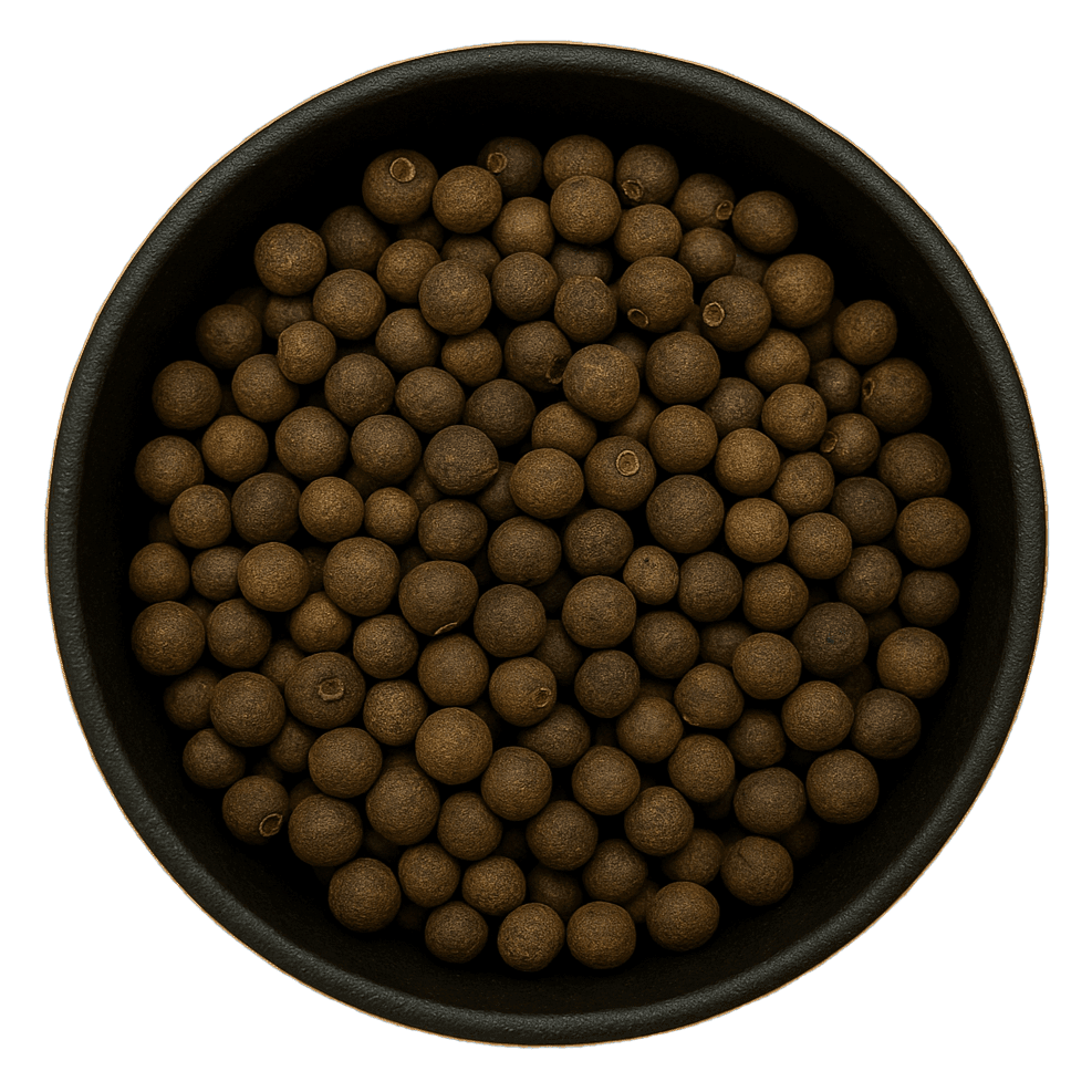  (Background Removed) (Background Removed)