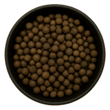  (Background Removed) (Background Removed)