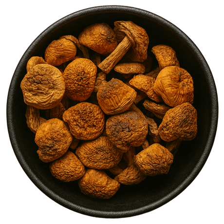  (Background Removed)