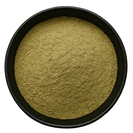  (Background Removed)