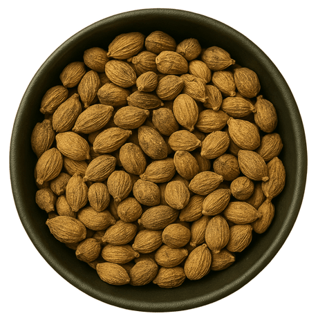  (Background Removed)