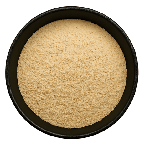  (Background Removed)