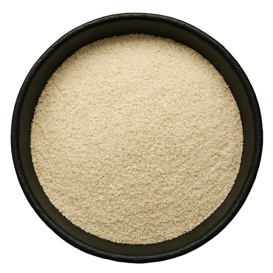  (Background Removed)