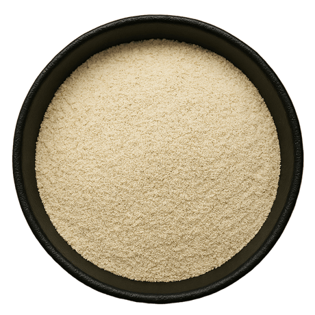  (Background Removed)