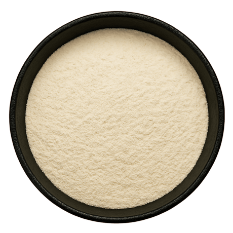  (Background Removed)