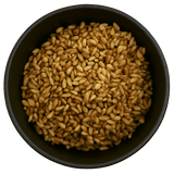  (Background Removed)