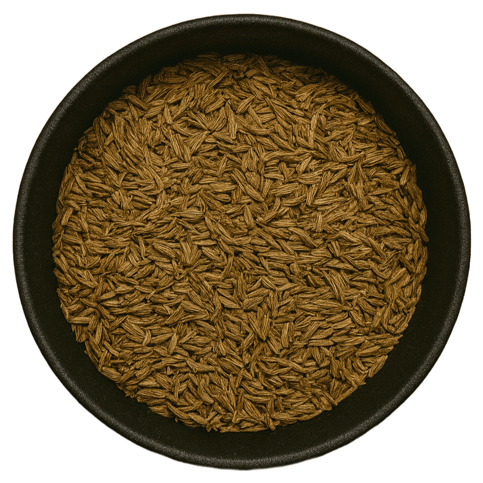  (Background Removed)