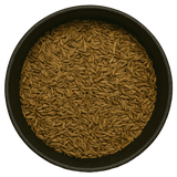  (Background Removed)