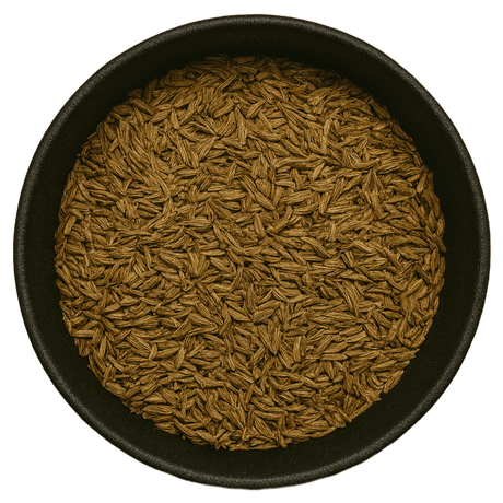  (Background Removed)