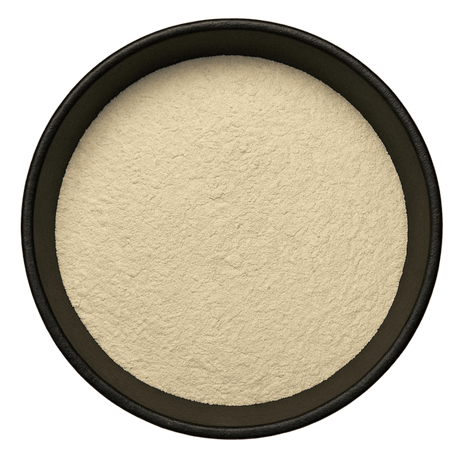  (Background Removed)