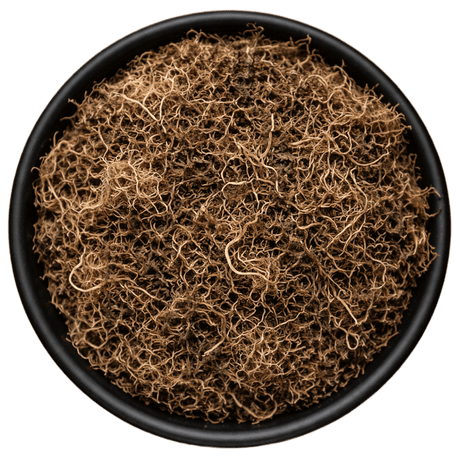  (Background Removed)