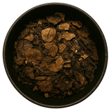  (Background Removed)