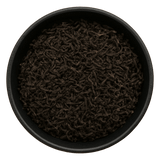  (Background Removed)