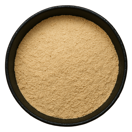  (Background Removed)