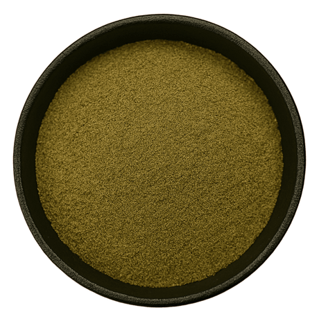  (Background Removed)