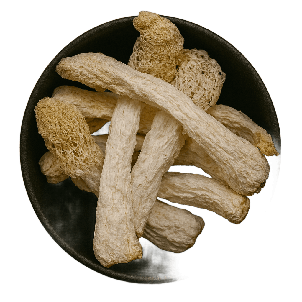  (Background Removed)