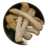  (Background Removed)