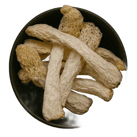  (Background Removed)