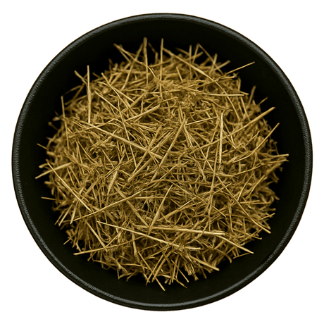  (Background Removed)