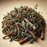 Barbed Skullcap Herb Whole (Scutellaria Barbata)