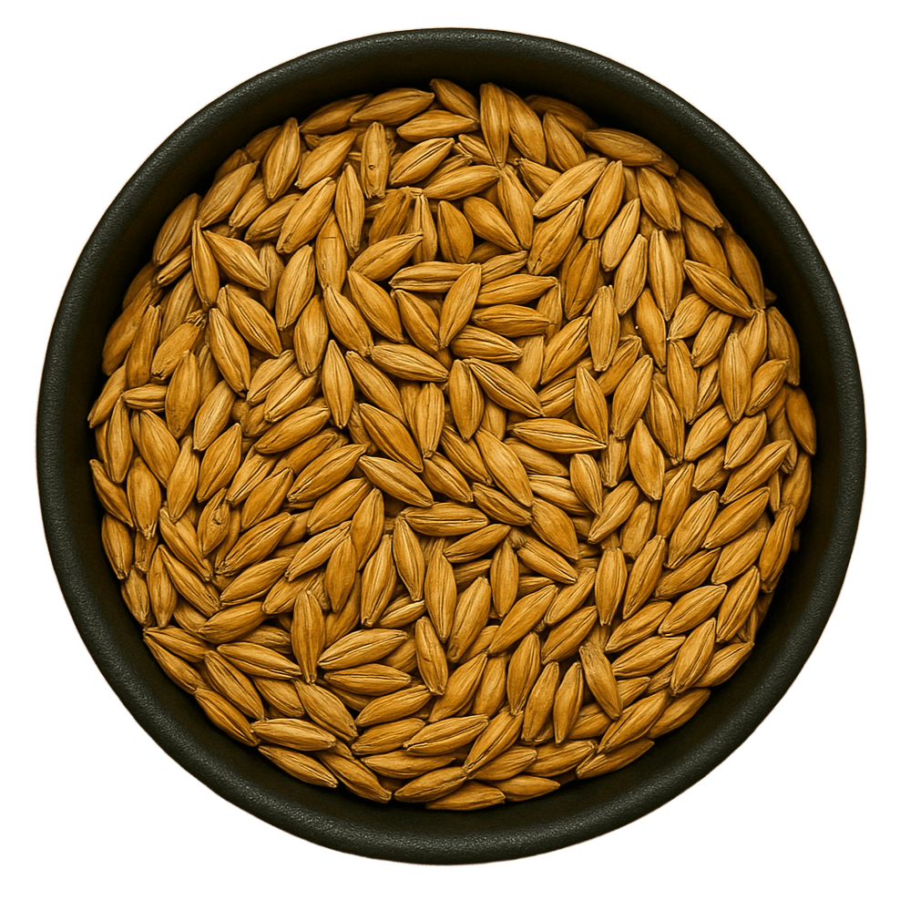  (Background Removed)