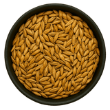  (Background Removed)