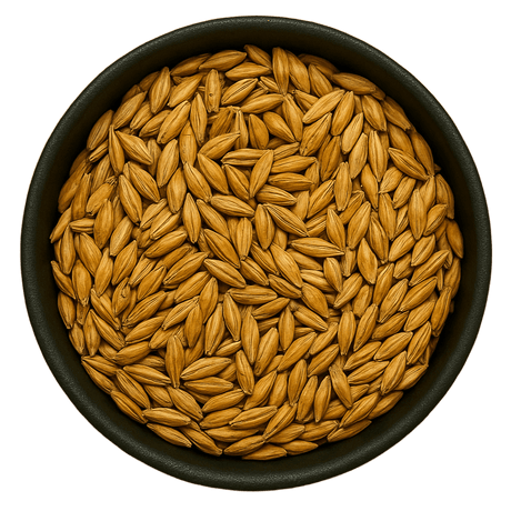  (Background Removed)