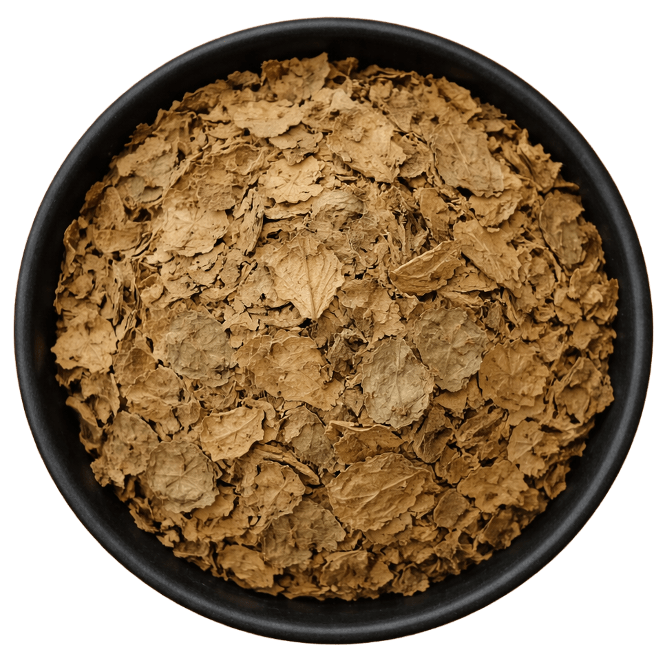  (Background Removed)