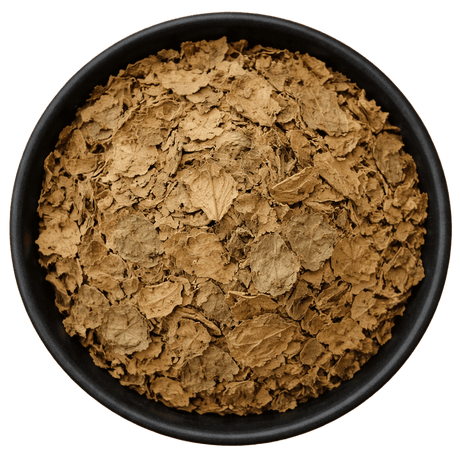  (Background Removed)