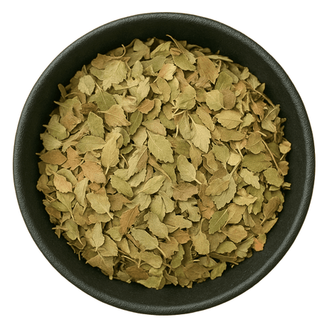  (Background Removed)