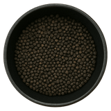  (Background Removed)