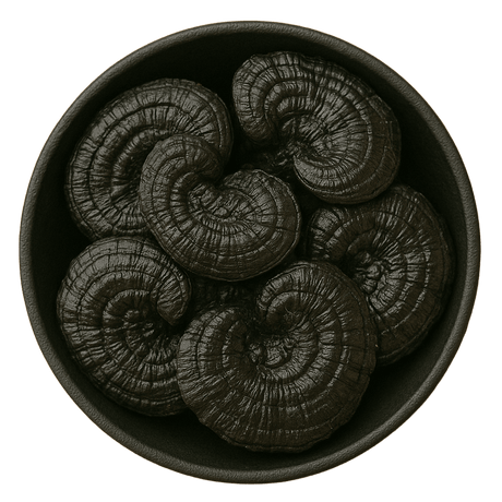  (Background Removed)