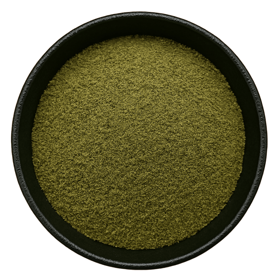  (Background Removed)