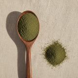 Black Walnut Leaf Powder (Juglans Sp.) | Create a luxurious, photorealistic product photograph featuring the original product naturally arranged in an elegant handcrafted wooden spoon on a soft, finely