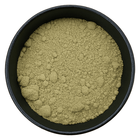  (Background Removed)