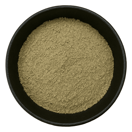  (Background Removed)