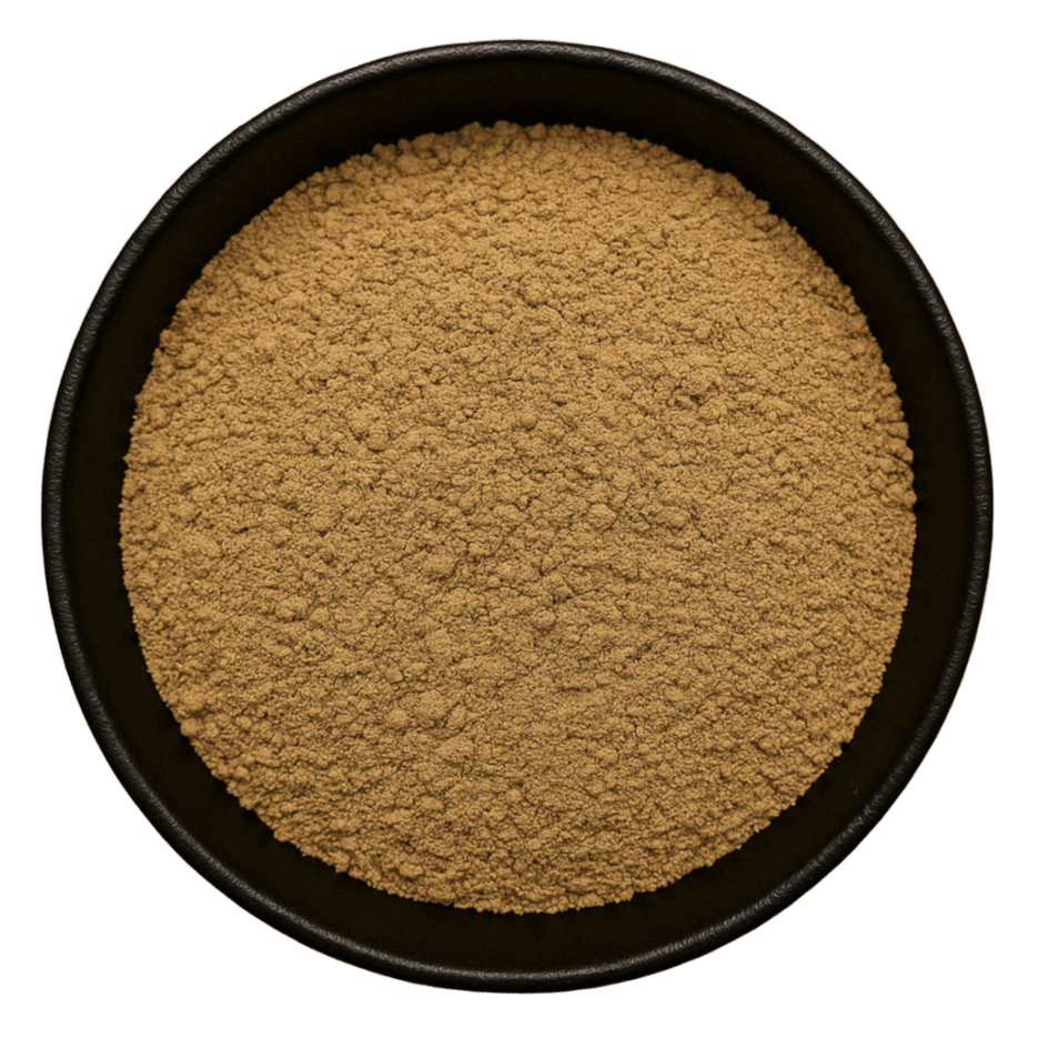  (Background Removed)