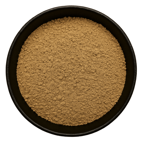  (Background Removed)