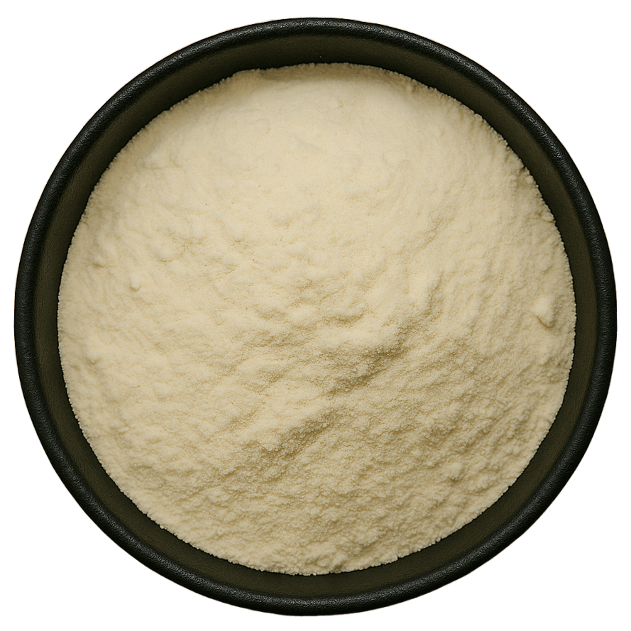  (Background Removed)