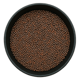  (Background Removed)