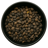  (Background Removed)