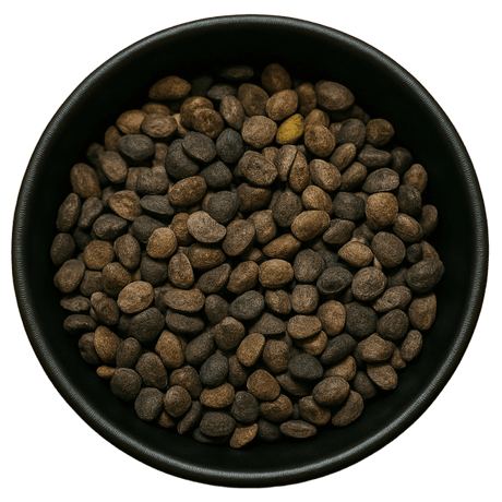  (Background Removed)