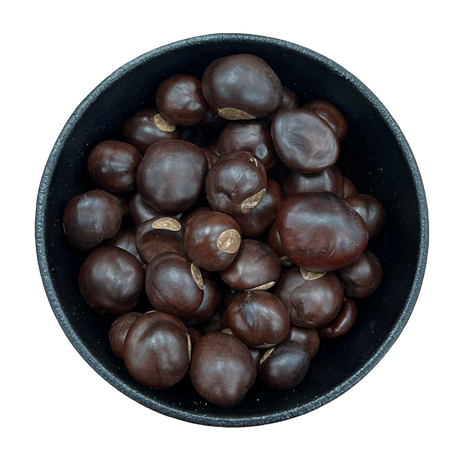 Buckeyes Whole (Aesculus)