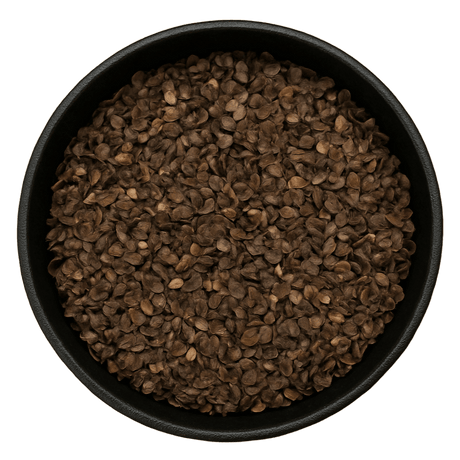  (Background Removed)