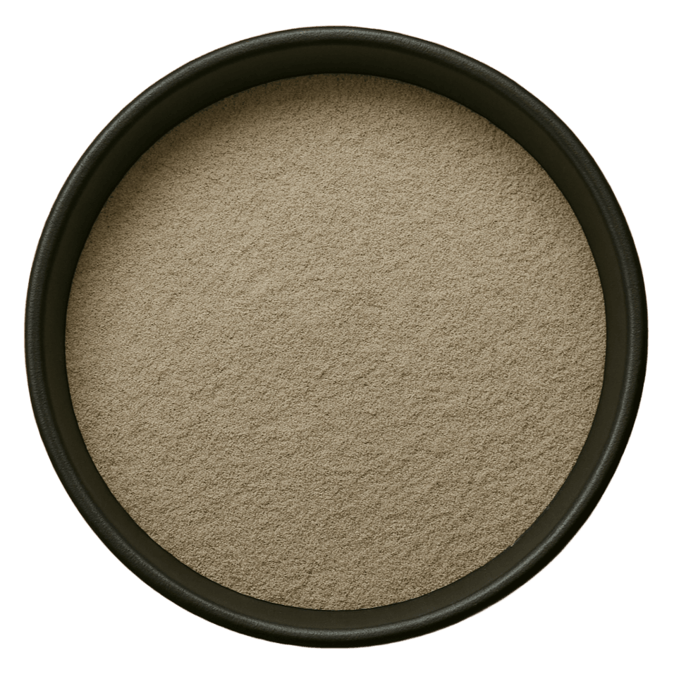  (Background Removed)