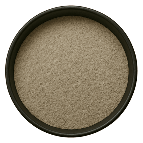  (Background Removed)