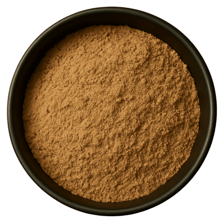  (Background Removed)