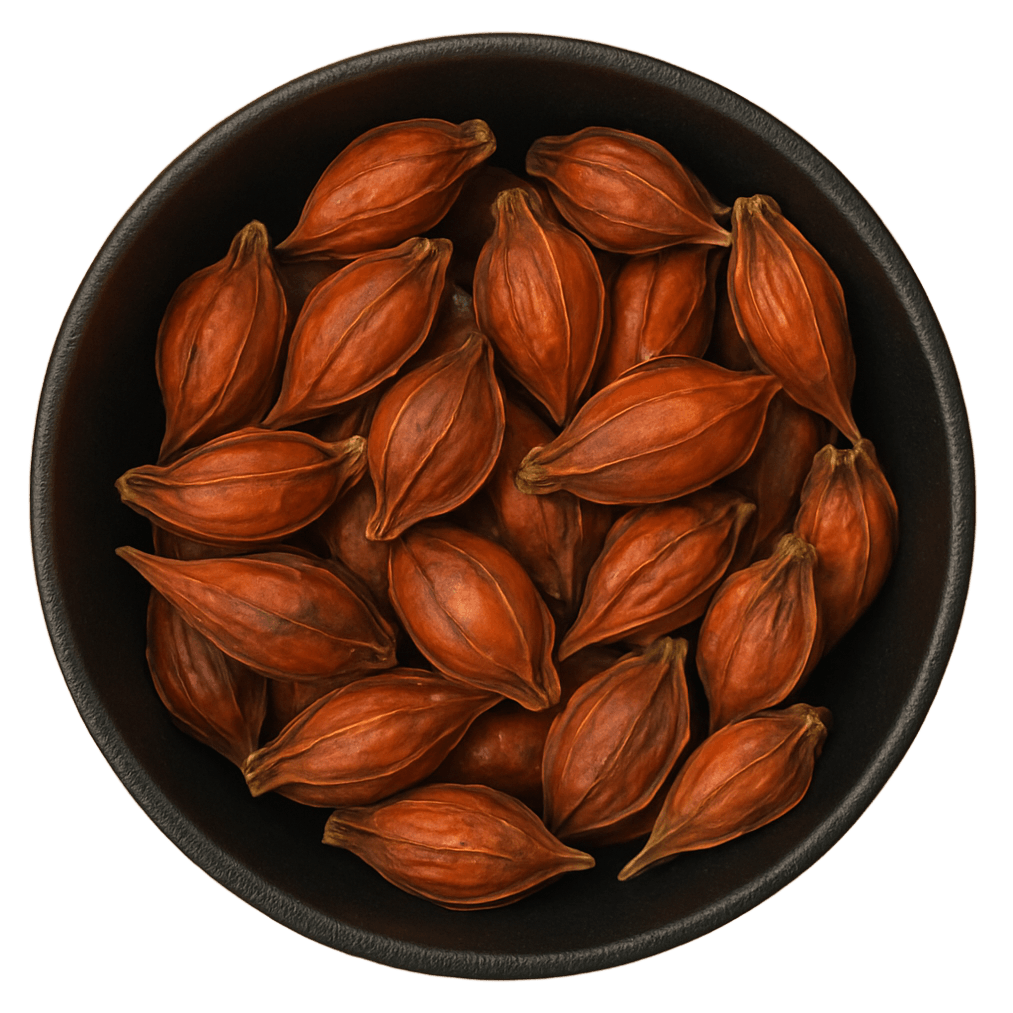  (Background Removed)